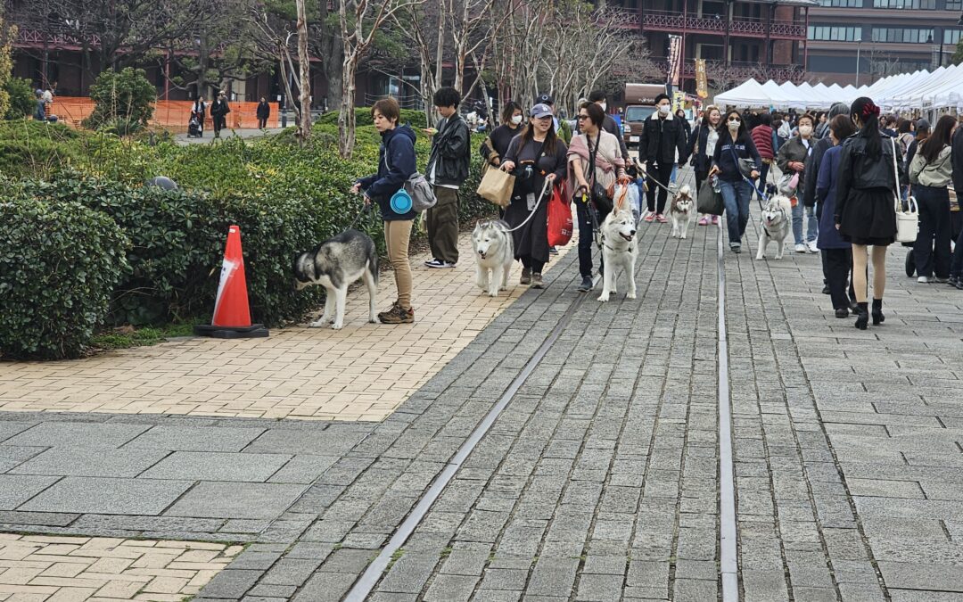 【プロが伝授】浮気の前兆を見分ける5つのサイン｜横浜・川崎で確実な証拠を掴むために