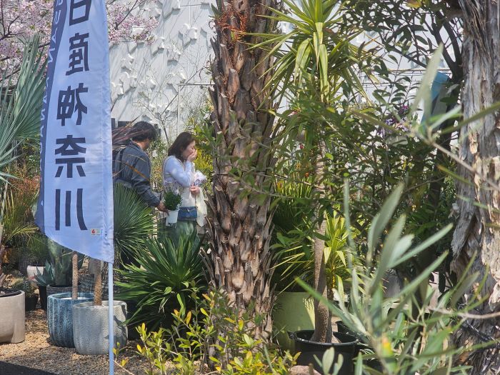 神奈川県で浮気・人探しにお悩みの方へ：後悔しないための第一歩